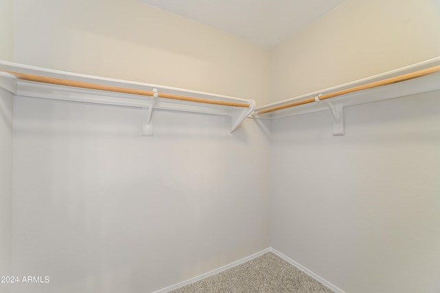 spacious closet with carpet flooring