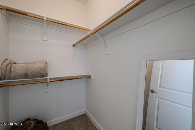 spacious closet with carpet
