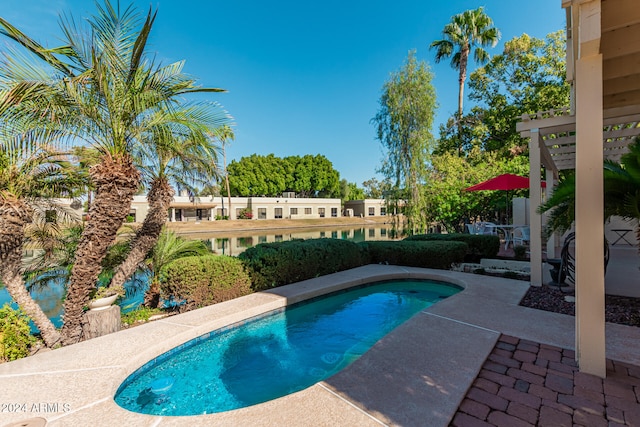 view of swimming pool with a patio area