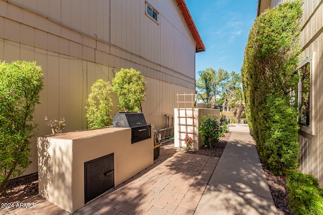 view of patio / terrace featuring area for grilling