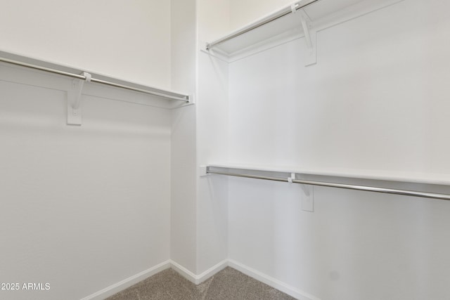 15718 W Polk St, Goodyear, AZ 85338 - spacious closet featuring carpet flooring