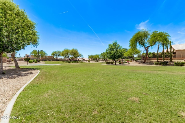view of community featuring a lawn