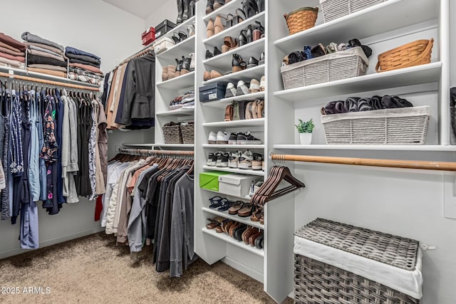 5437 W Red Bird Rd, Phoenix, AZ 85083 - walk in closet featuring carpet floors