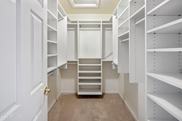 1017 E Grandview Rd, Phoenix, AZ 85022 - walk in closet with carpet floors