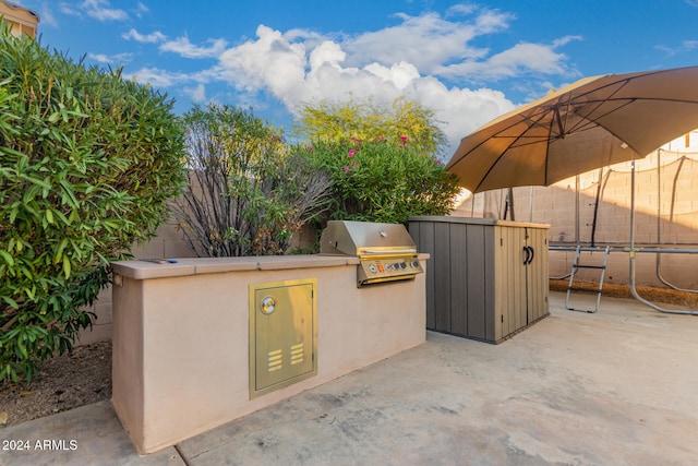 view of patio / terrace with an outdoor kitchen and grilling area