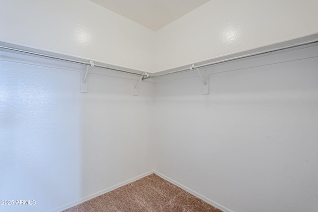 walk in closet featuring carpet flooring