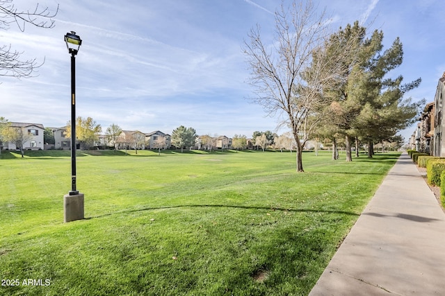 view of community featuring a yard