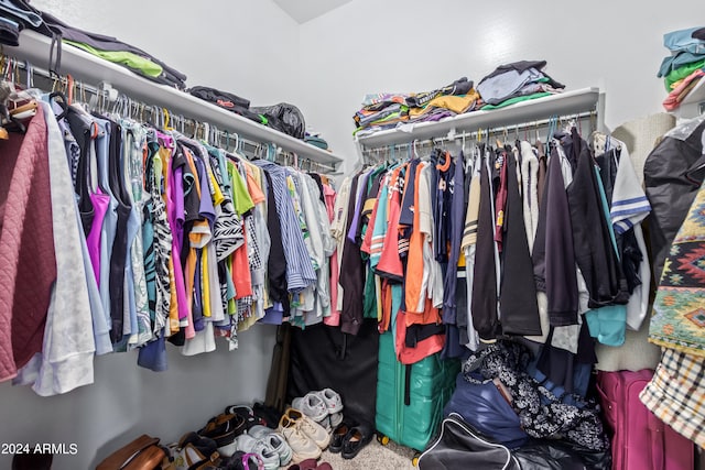 view of spacious closet