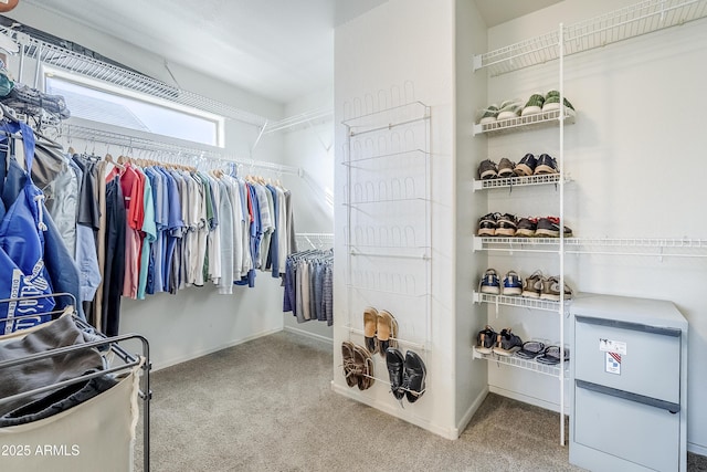 spacious closet featuring carpet floors