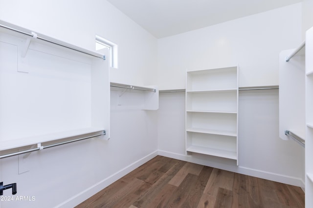 spacious closet featuring wood finished floors