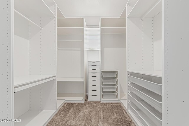 17376 W Via De Luna Dr, Surprise, AZ 85387 - spacious closet with carpet