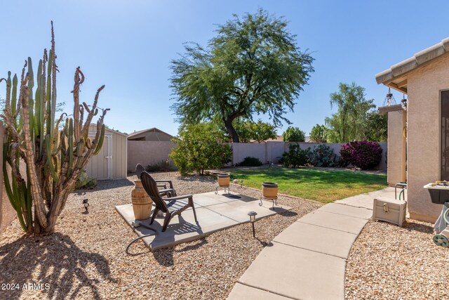 view of yard with a patio and a storage shed