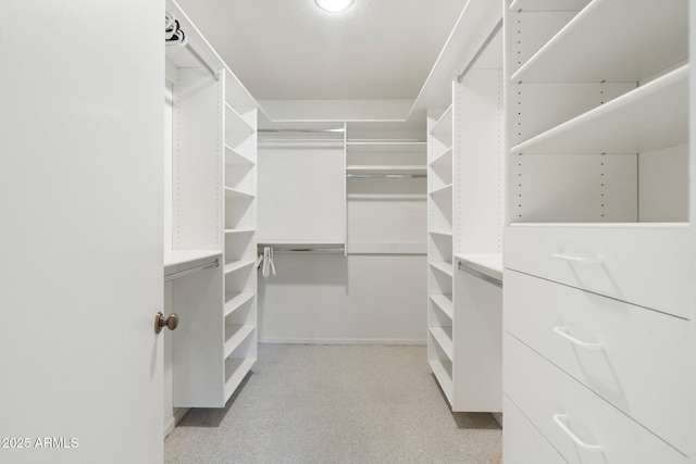 1338 E Greenway Cir, Mesa, AZ 85203 - spacious closet with light carpet