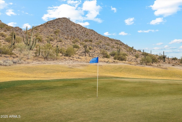 view of property's community with a mountain view and a yard