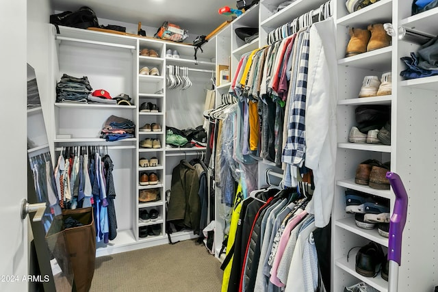 spacious closet featuring carpet flooring