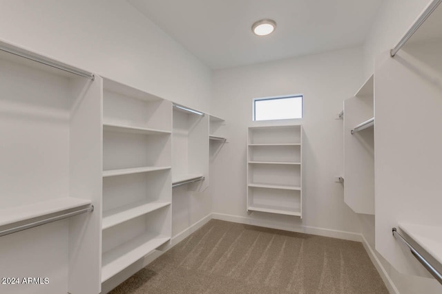 spacious closet featuring carpet floors