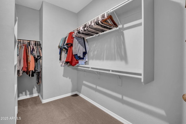 walk in closet featuring carpet