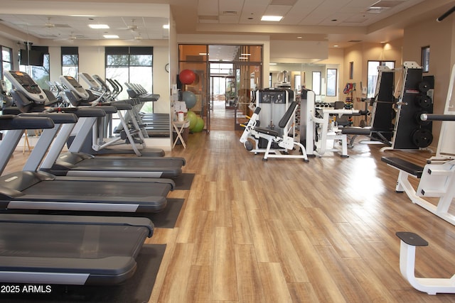 7413 E Russet Sky Dr, Scottsdale, AZ 85266 - gym with a paneled ceiling and wood finished floors