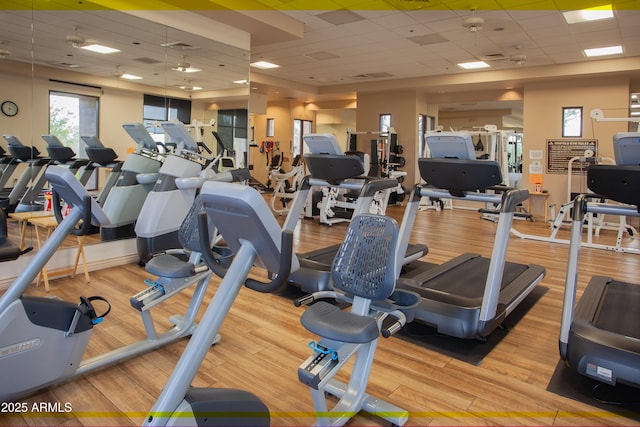 7413 E Russet Sky Dr, Scottsdale, AZ 85266 - exercise room featuring a drop ceiling and wood finished floors