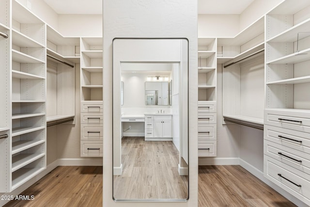 11008 N 119th Pl, Scottsdale, AZ 85259 - spacious closet with light wood-type flooring