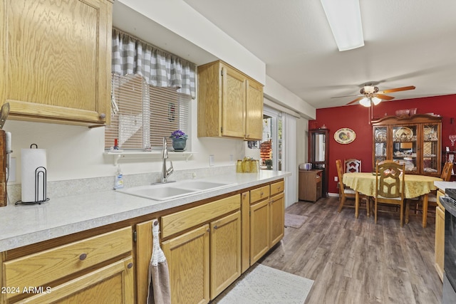 kitchen with dark hardwood / wood-style flooring, ceiling fan, sink, and electric stove