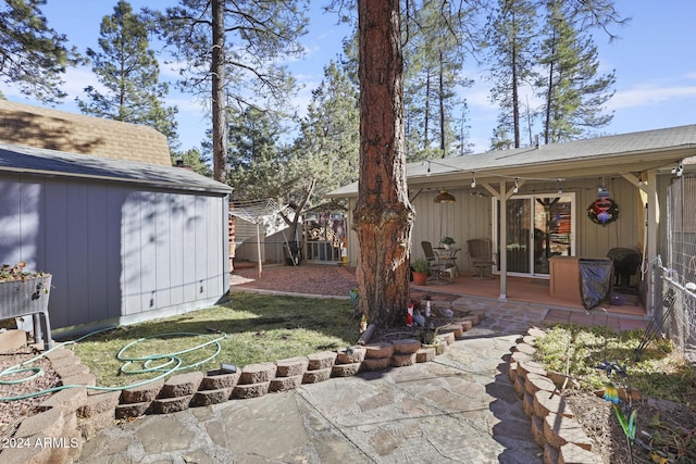 view of yard featuring a patio area