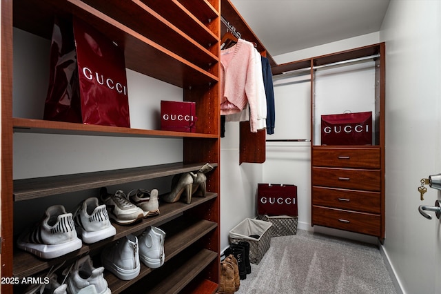 spacious closet featuring carpet
