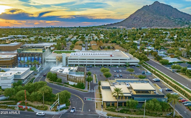 birds eye view of property featuring a mountain view