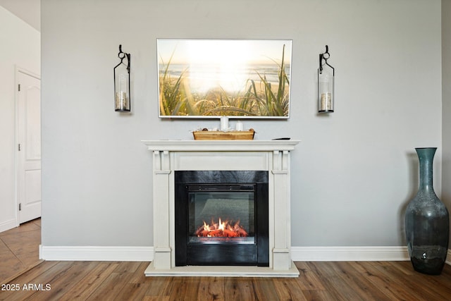 details featuring a premium fireplace, baseboards, and wood finished floors