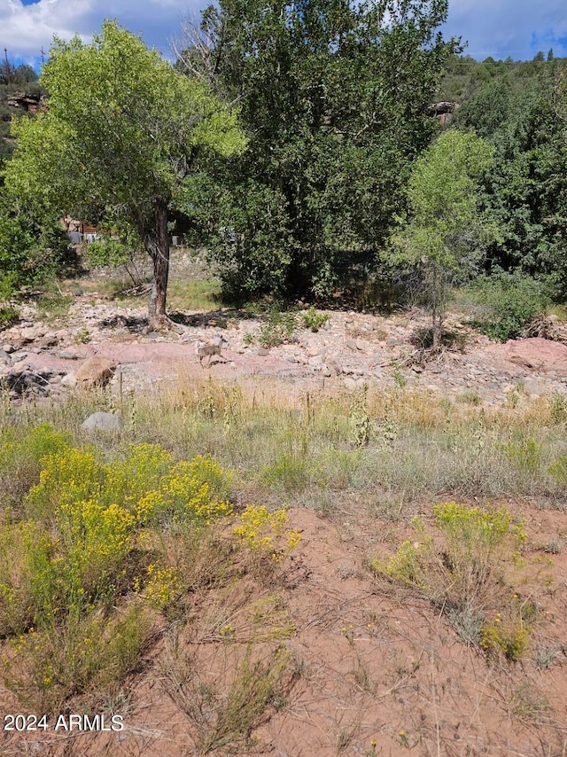 14XX W Paint Pony Dr Unit A, Payson AZ, 85541 land for sale