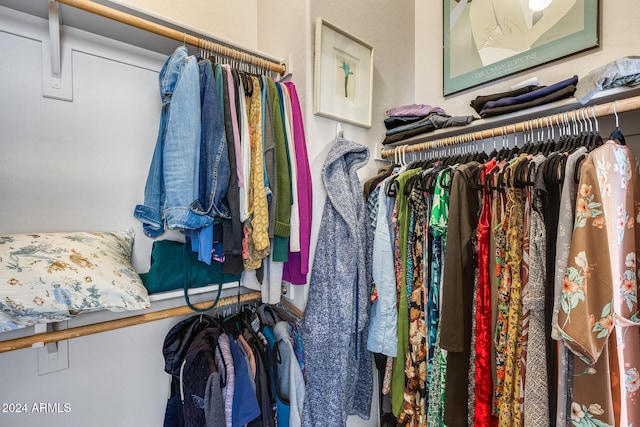 view of spacious closet