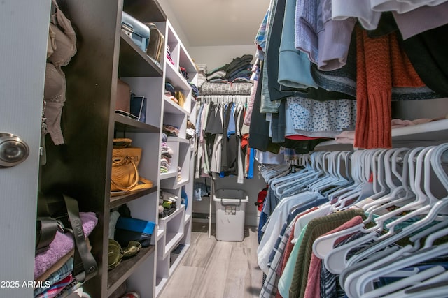 spacious closet featuring wood finished floors