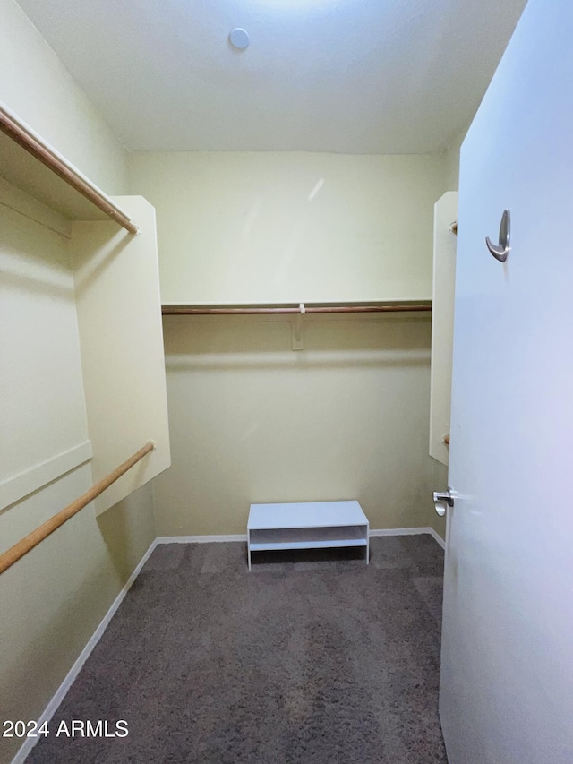 spacious closet featuring carpet