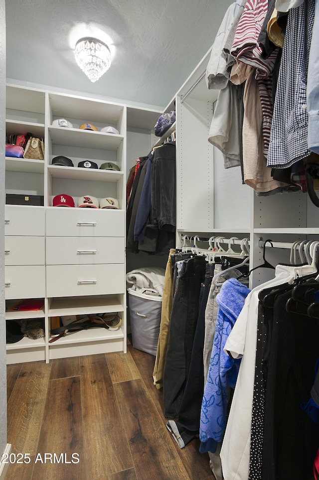 walk in closet featuring dark hardwood / wood-style floors