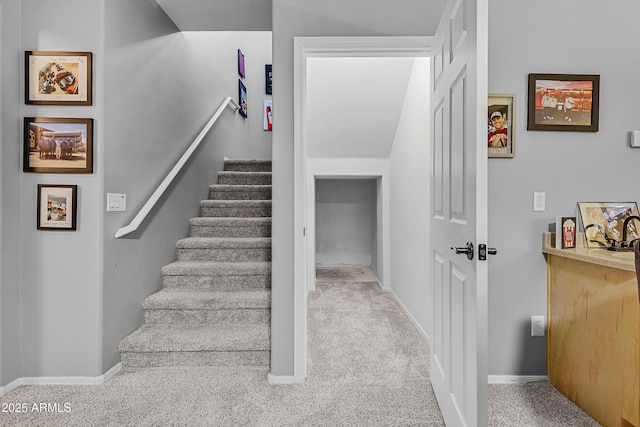 staircase featuring carpet floors