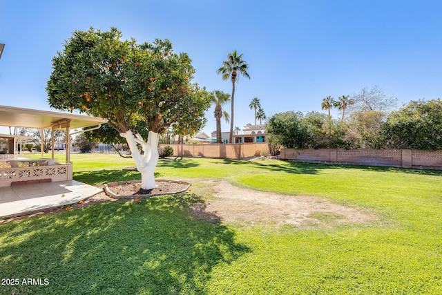 view of yard featuring a patio