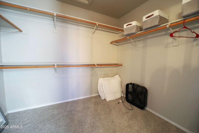 spacious closet with carpet floors