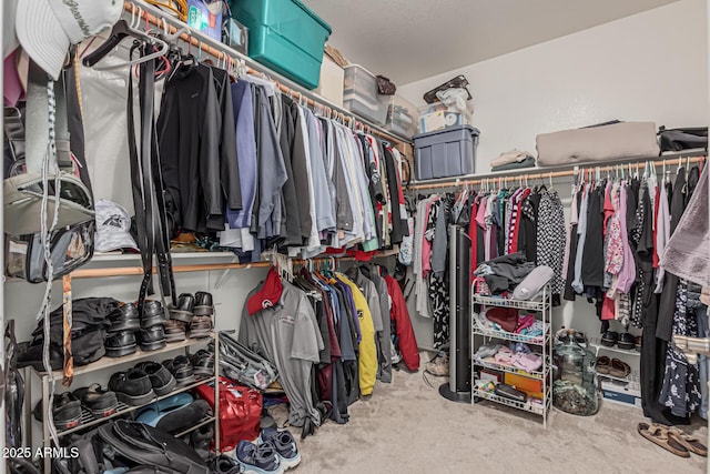 1635 W Windsong Dr, Phoenix, AZ 85045 - view of walk in closet
