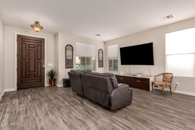 1217 W Fever Tree Ave, San Tan Valley, AZ 85140 - living area with light wood-type flooring and baseboards
