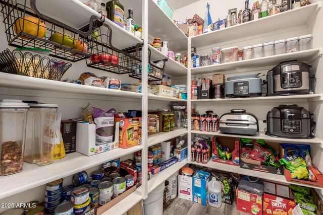 1217 W Fever Tree Ave, San Tan Valley, AZ 85140 - view of storage area