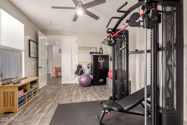 1217 W Fever Tree Ave, San Tan Valley, AZ 85140 - exercise room featuring wood finished floors, ceiling fan, and baseboards