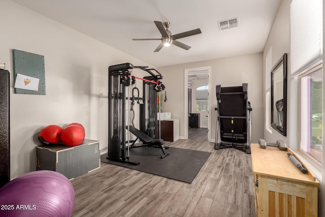 1217 W Fever Tree Ave, San Tan Valley, AZ 85140 - exercise room with wood finished floors, ceiling fan, and baseboards