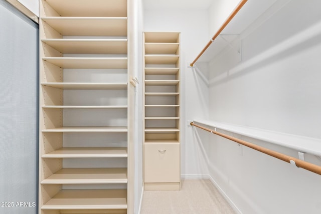 spacious closet with light carpet