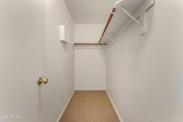 walk in closet featuring carpet floors