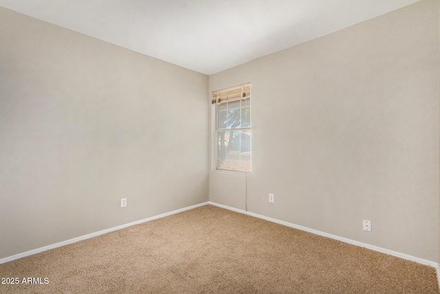 spare room featuring carpet flooring