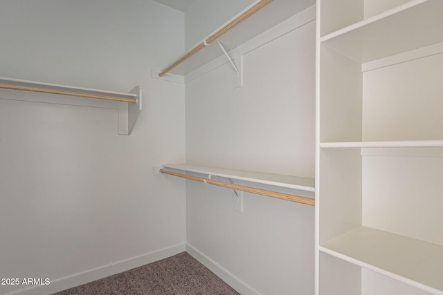 walk in closet with carpet flooring