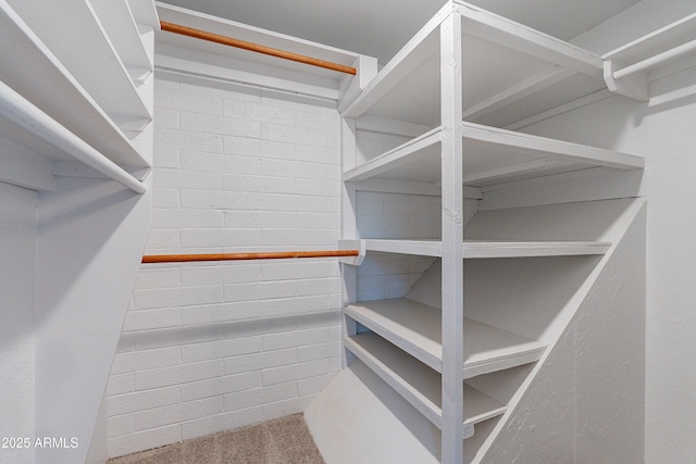 spacious closet featuring carpet flooring