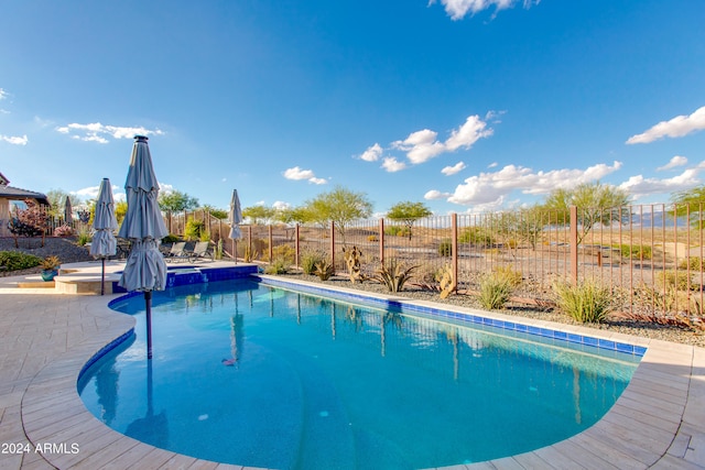 view of swimming pool with a patio