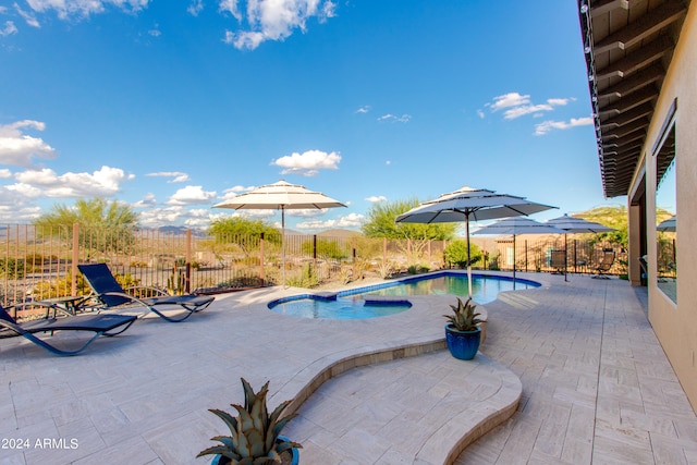 view of swimming pool featuring a patio area