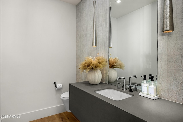 bathroom featuring toilet, vanity, and hardwood / wood-style flooring